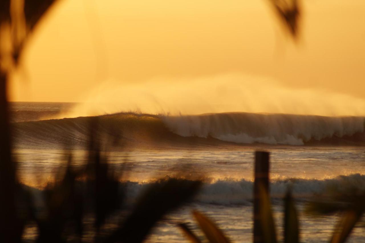 Alive Beach House Transito Bagian luar foto