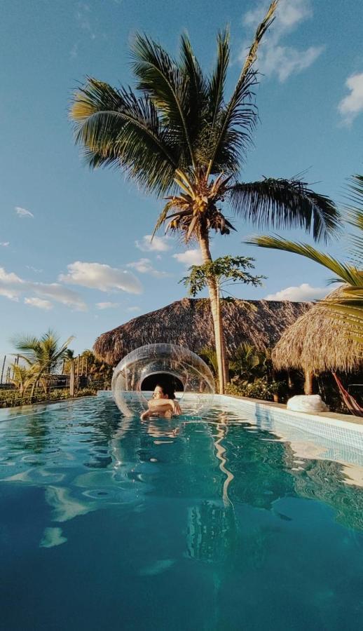 Alive Beach House Transito Bagian luar foto